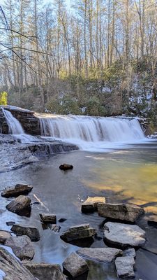 DuPont State Recreational Forest by null