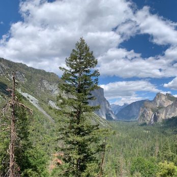 Tunnel View - Tunnel View El Capitan Half Dome Yosemite Falls - Local Flavor Near Me - Yosemite National Park, California Tunnel View - Tunnel View El Capitan Half Dome Yosemite Falls - Local Flavor Near Me - Yosemite National Park, California