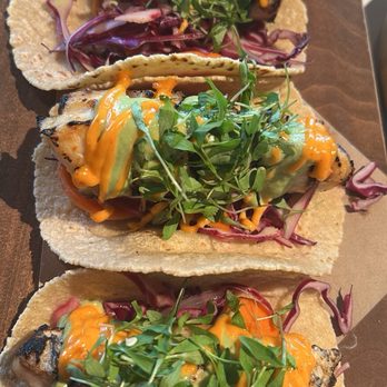 The Surfing Fox - Fish Tacos - New American Near Me - Santa Monica, California The Surfing Fox - Fish Tacos - New American Near Me - Santa Monica, California