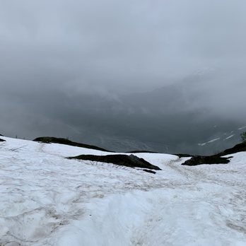 Exit Glacier and Harding Icefield Trail - 3/4's of the way up Harding Icefield Trail...it was virtually impossible to climb higher because of too much snow. - Hiking Near Me - Seward, Alaska