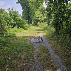 Jacobsburg Environmental Education Center