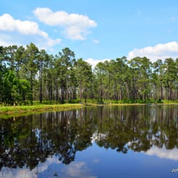 Desoto National Forest - Aiery Lake Recreation Area - Aiery Lake