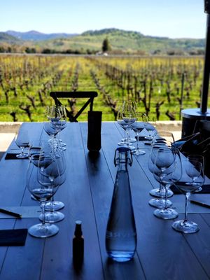 Alpha Omega Winery by null