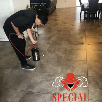 Special Pest Control - Pest Control Near Me Special Pest Control - Pest Control Near Me