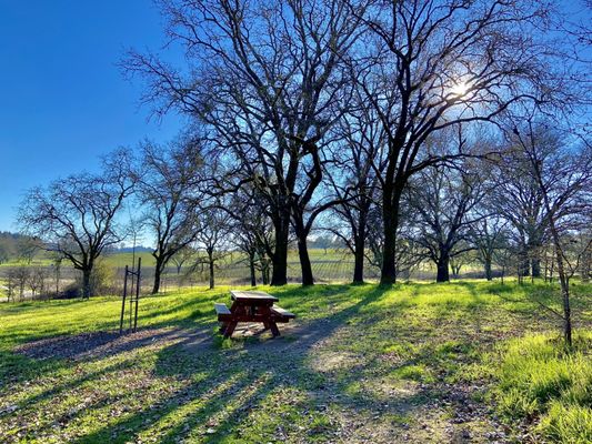 Laguna de Santa Rosa Trail by null