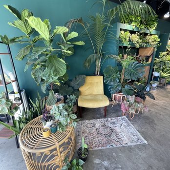 Plantoem - Cafes Near Me - Honolulu, Hawaii