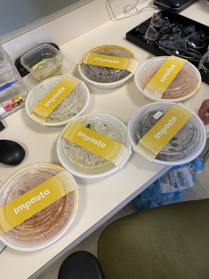 Impasta - Beverly Hills by null