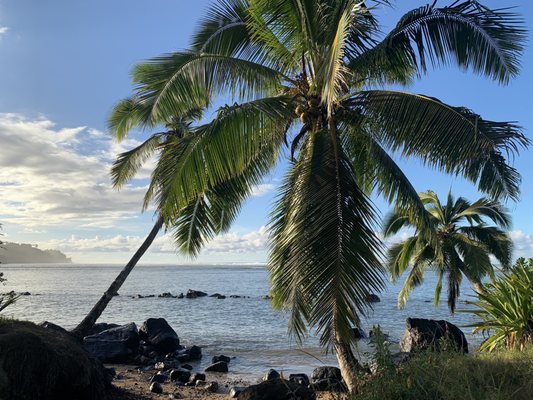 Anini Beach by null