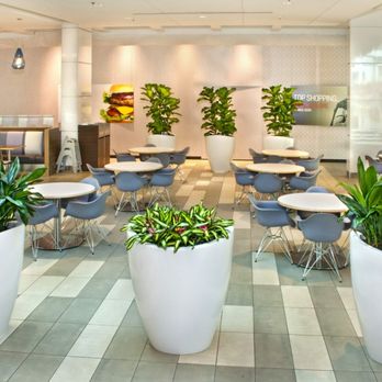 Raimondi Horticultural Group - Indoor Landscaping Near Me - Ho-ho-kus, New Jersey Raimondi Horticultural Group - Indoor Landscaping Near Me - Ho-ho-kus, New Jersey