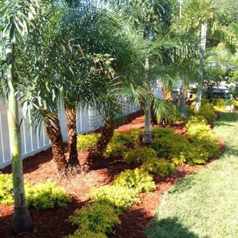 Ted Conner Landscaping - New landscaping by Ted Conner Landscaping. - Pest Control Near Me - Pompano Beach, Florida Ted Conner Landscaping - New landscaping by Ted Conner Landscaping. - Pest Control Near Me - Pompano Beach, Florida