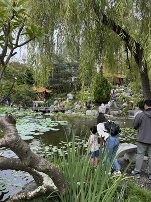 Chinese Garden of Friendship by null