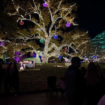 Austin Trail of Lights - Prettiest tree - Festivals Near Me - Austin, Texas Austin Trail of Lights - Prettiest tree - Festivals Near Me - Austin, Texas