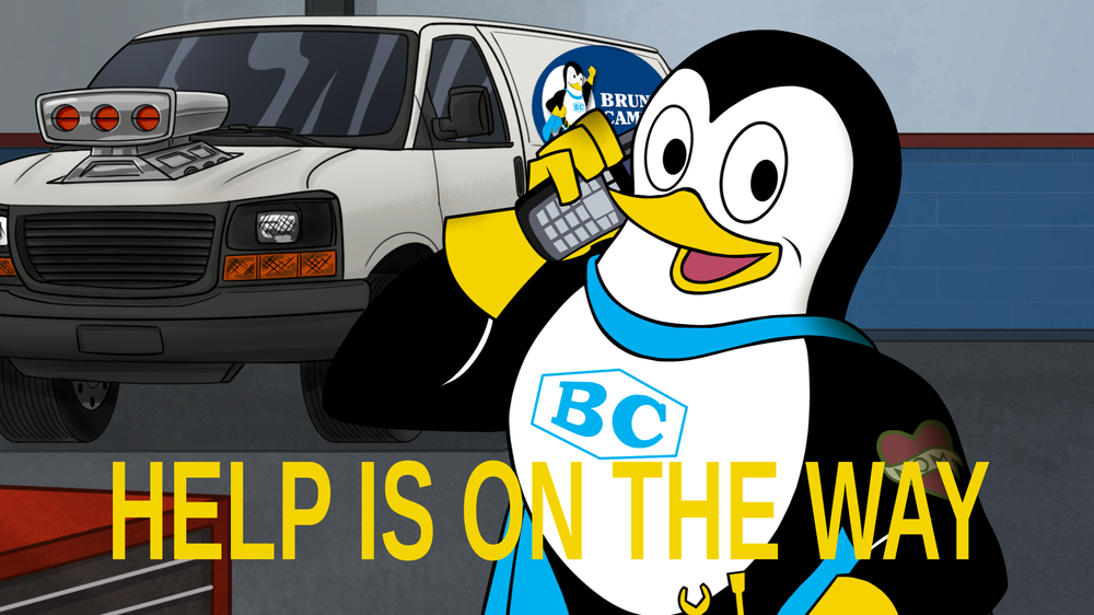 Slide of Bruni & Campisi