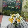 Photo of Garden Of Kisses