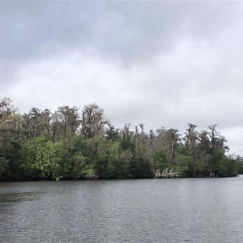 Peace River Airboat Tours - Beautiful scenery - Tours Near Me - Arcadia, Florida Peace River Airboat Tours - Beautiful scenery - Tours Near Me - Arcadia, Florida