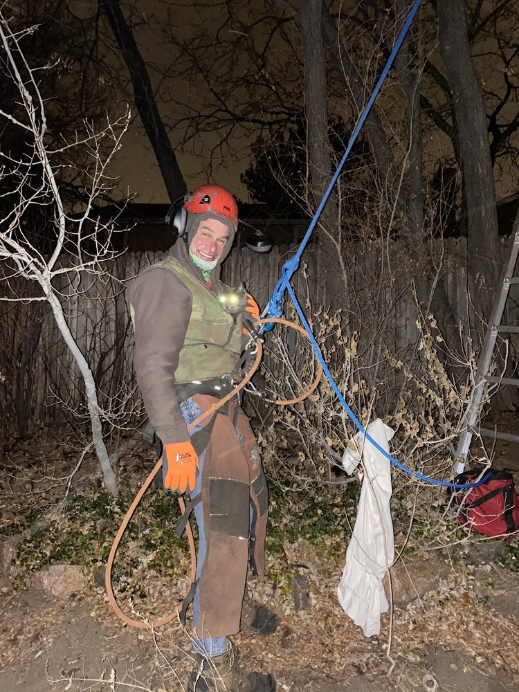 AAA Emergency Tree Service - tree service in Denver, CO