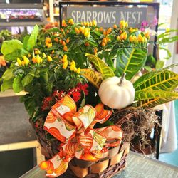 Sparrows Nest Flower Shop, LLC - Awesome basket dishgardens