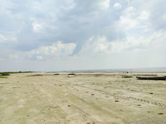 Sea Rim State Park by null