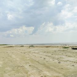 Sea Rim State Park