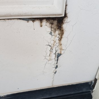 Restoration Brothers - possible black mold growth - Damage Restoration Near Me Restoration Brothers - possible black mold growth - Damage Restoration Near Me