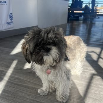 Blue Chip Conditioning - Annie! - Pilates Near Me - Las Vegas, Nevada