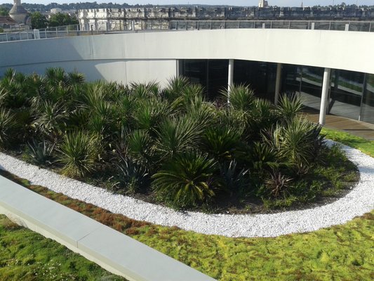 Museum Romanité by null