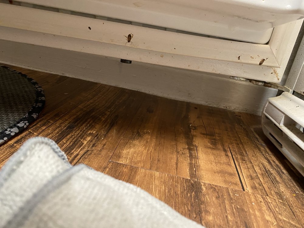 VISTAS AT PINNACLE PARK Updated July 2024 21 Photos 4599 W Davis