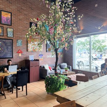 Mystic Coffee - Coffee & Tea Near Me - Hollywood, Florida Mystic Coffee - Coffee & Tea Near Me - Hollywood, Florida