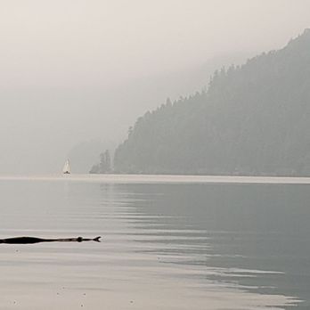 Fairholme Campground - Misty day - Campgrounds Near Me - Port Angeles, Washington