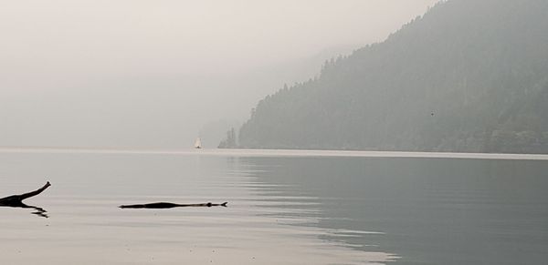 Fairholme Campground by null