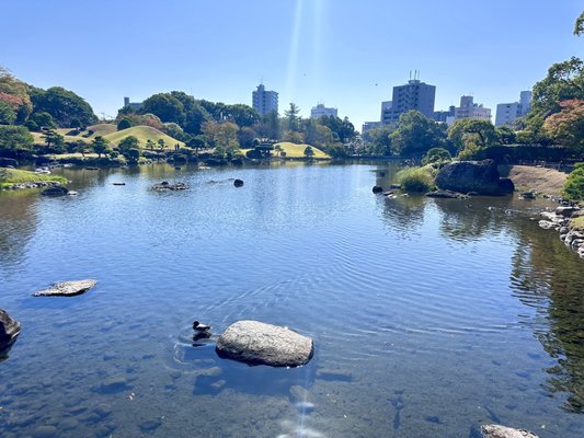 Suizenji Jojuen Garden by null