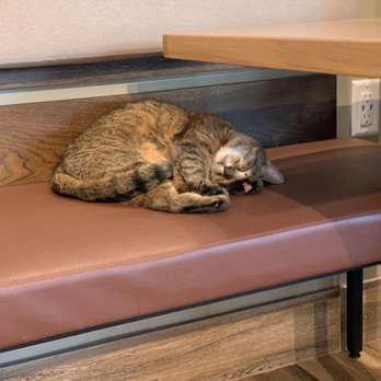 The Pet Wellness Center - Veterinarians Near Me - Phoenix, Arizona The Pet Wellness Center - Veterinarians Near Me - Phoenix, Arizona