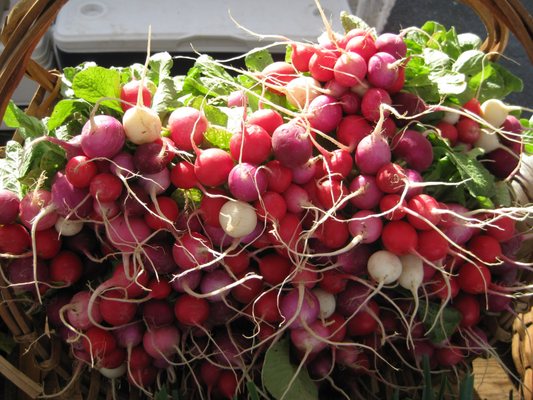South Durham Farmers' Market by null