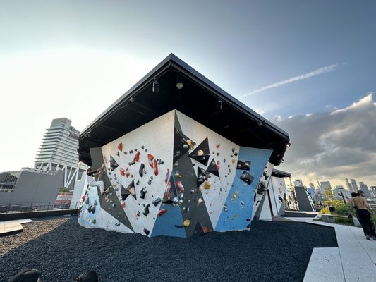 VITAL Climbing Gym - Brooklyn by null