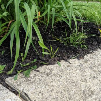 E & L Lawn Care - So your neighbors won't think you're trying too hard. E & L keeps it super casual for only $530! - Tree Services Near Me - Columbus, Ohio