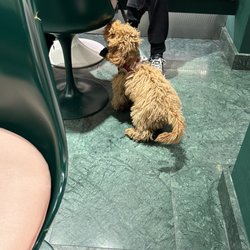 Badiani la gelateria