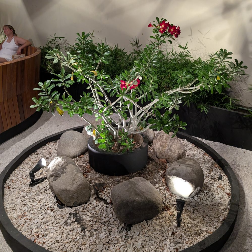 Himitsu - Lovely. - Japanese Near Me - Tonalá, JAL