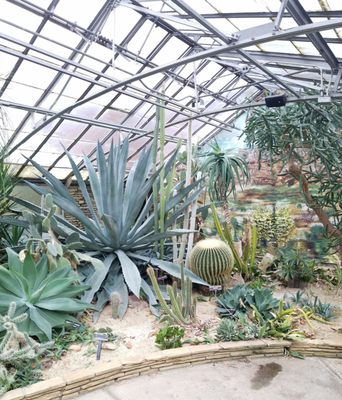 Rockefeller Park & Greenhouse by null