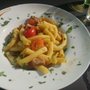 Photo of Gallodini