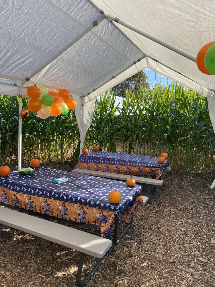 FOSTER FAMILY FARM Updated October 2024 67 Photos & 17 Reviews 90