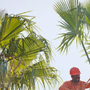 Photo of JJR Tree Services Landscaping