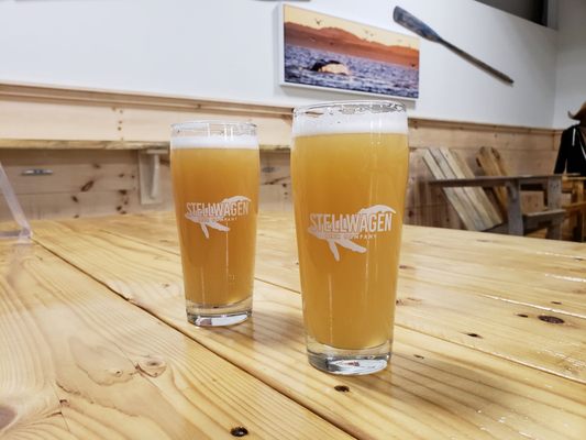 Stellwagen Beer Company by null