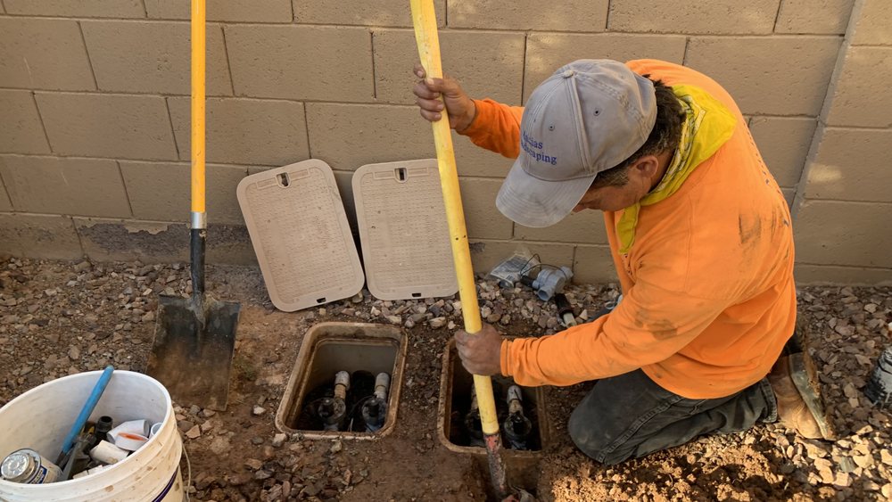 Macias Landscaping - tree service in Mesa, AZ