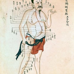 Mindful Balance Acupuncture