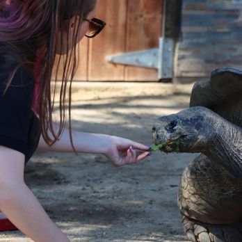 America's Teaching Zoo - Zoos Near Me - Moorpark, California