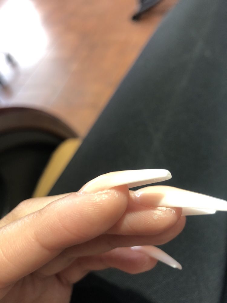 INTERNATIONAL NAILS Updated August 2024 19 Photos 164 Atwood Ave