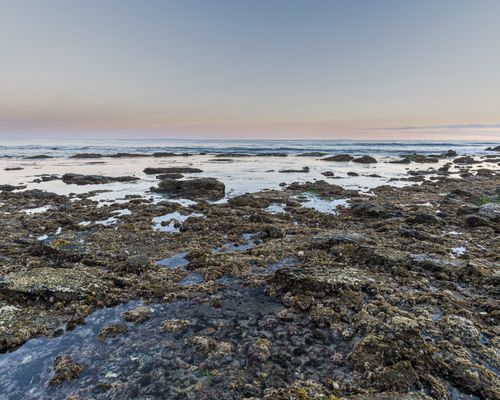 Point Dume State Beach by null