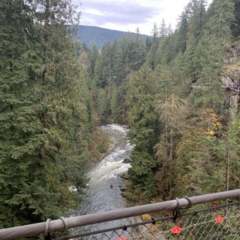 Capilano Suspension Bridge Park - View from the middle of the bridge - Parks Near Me - North Vancouver, British Columbia