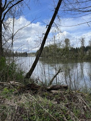 Champoeg State Park by null