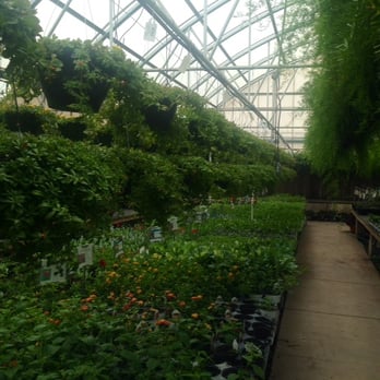 Panhandle Greenhouses - The greenhouses are packed with plants but organized in a way that you can look at everything without missing something. - Nurseries & Gardening Near Me - Amarillo, Texas Panhandle Greenhouses - The greenhouses are packed with plants but organized in a way that you can look at everything without missing something. - Nurseries & Gardening Near Me - Amarillo, Texas